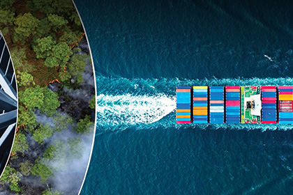 A cargo container ship as seen from above